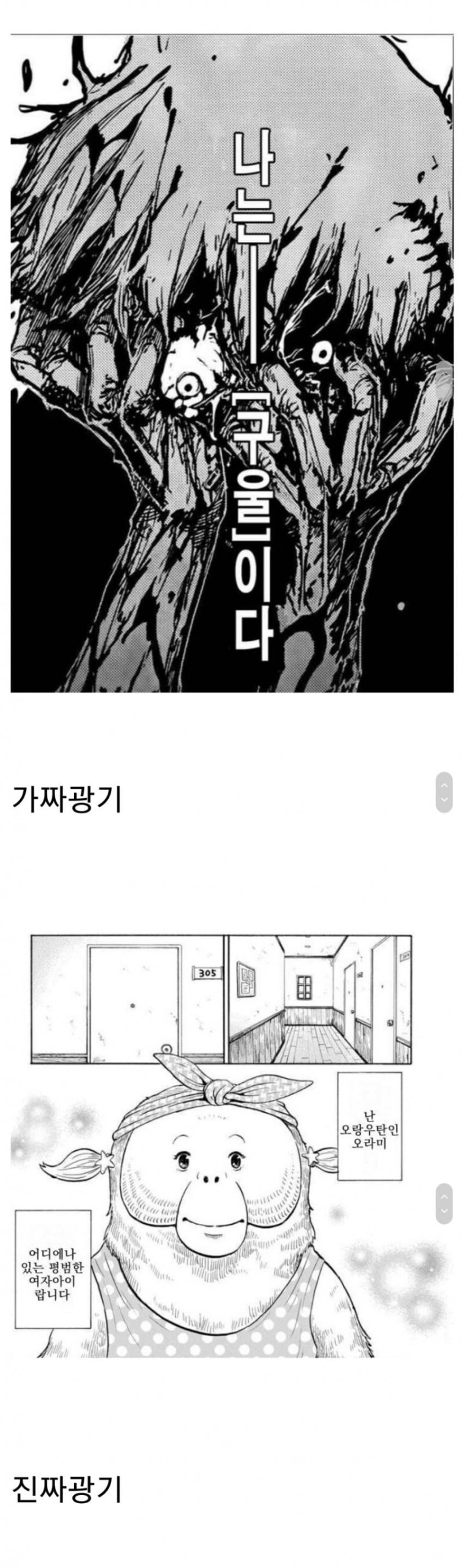 가짜 광기vs 진짜 광기_3.jpg