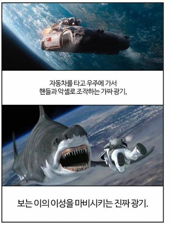 가짜 광기vs 진짜 광기_5.jpg