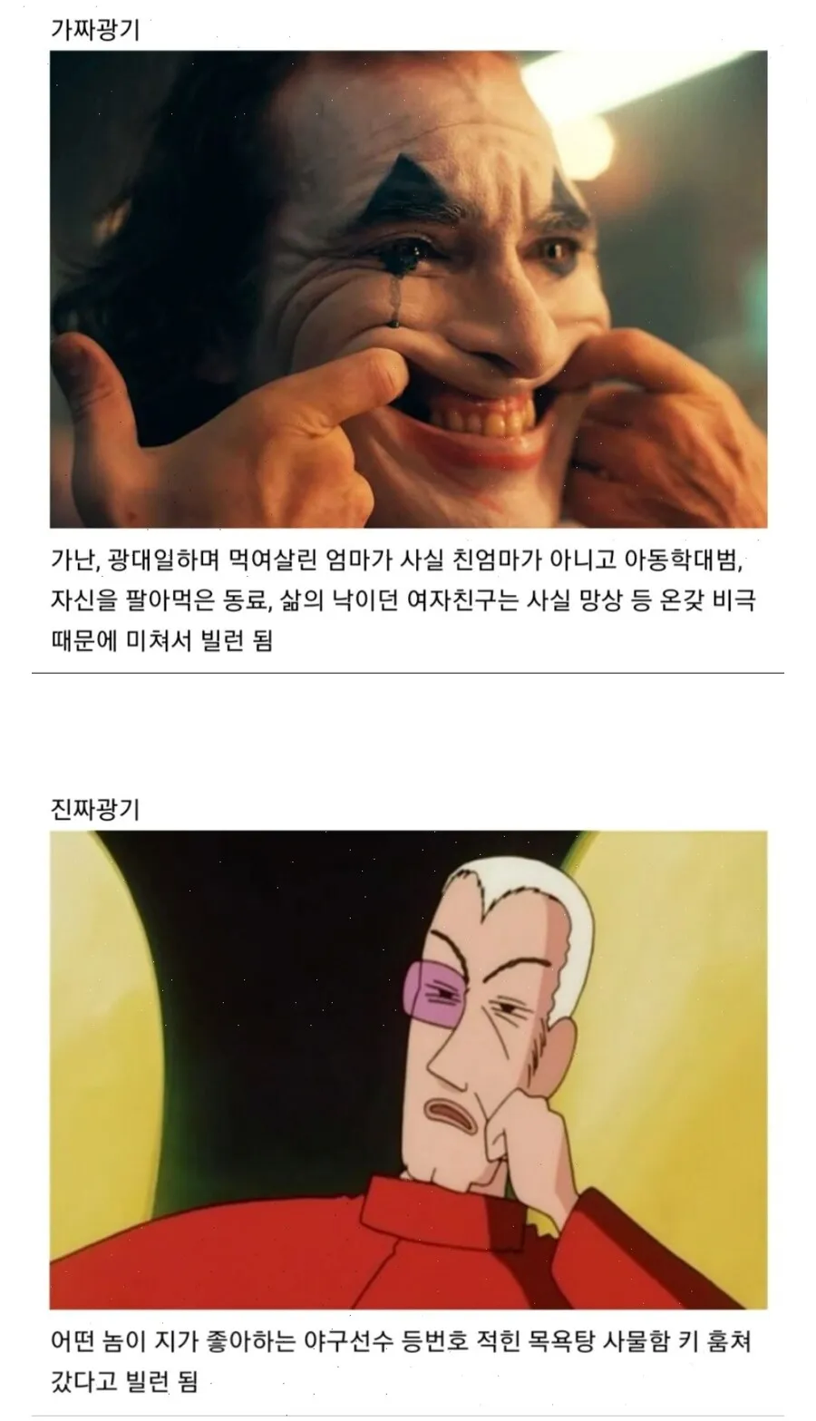 가짜 광기vs 진짜 광기_9.webp