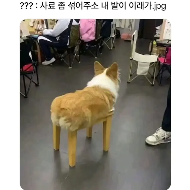 ???: