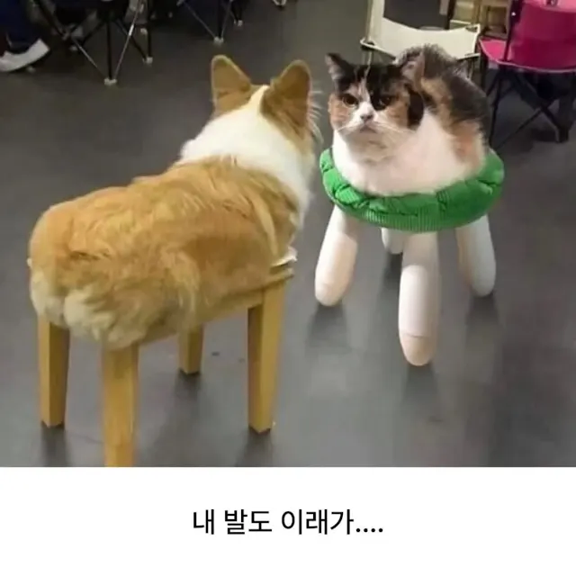 ???: