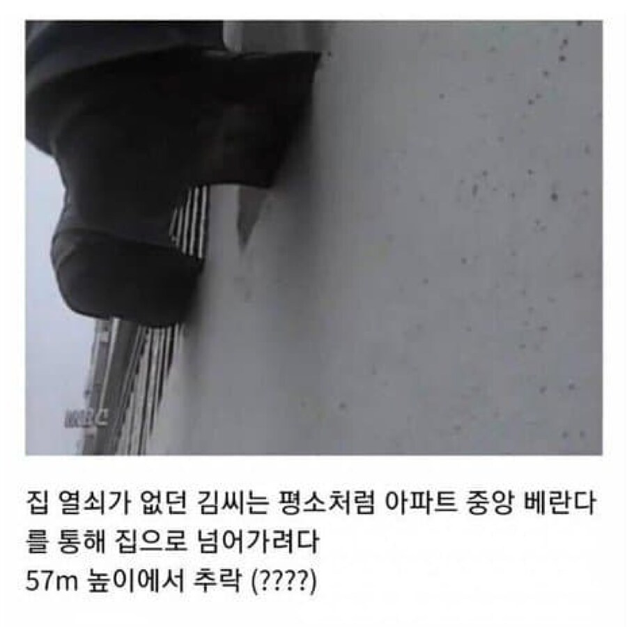 강한 자들만 살아남던 시대_2.jpg