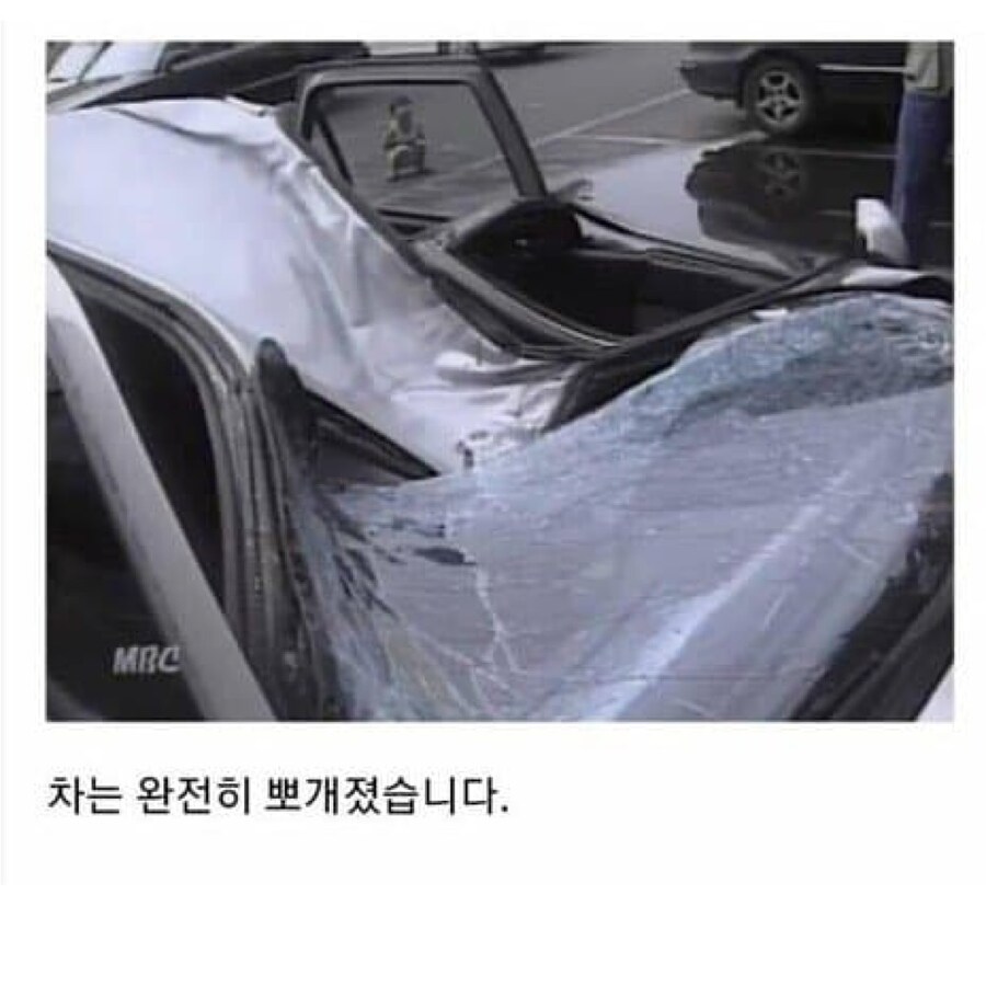 강한 자들만 살아남던 시대_5.jpg