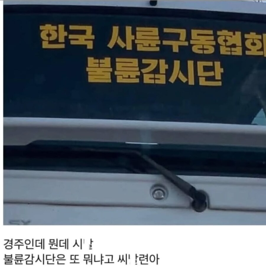 의문의 경주 불륜감시단.jpg_3.jpg