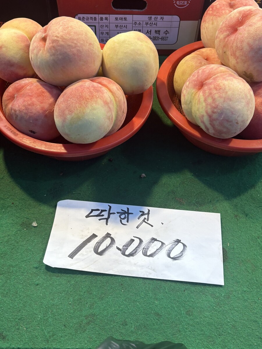 불쌍한 복숭아 ㅜㅜ_1.jpg
