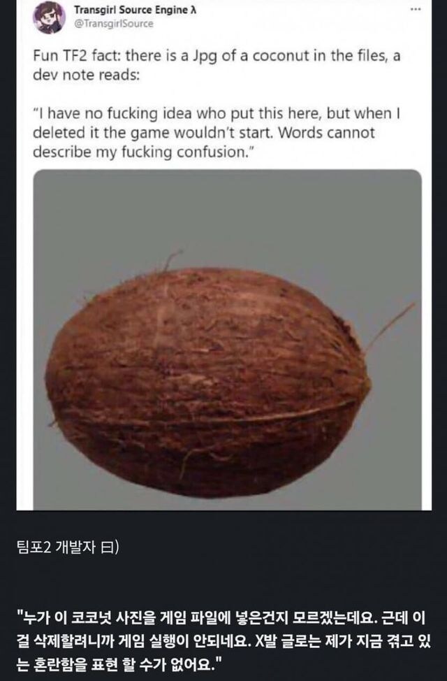 게임파일에 코코넛 사진은 누가 넣어놓은거야.jpg_1.jpg