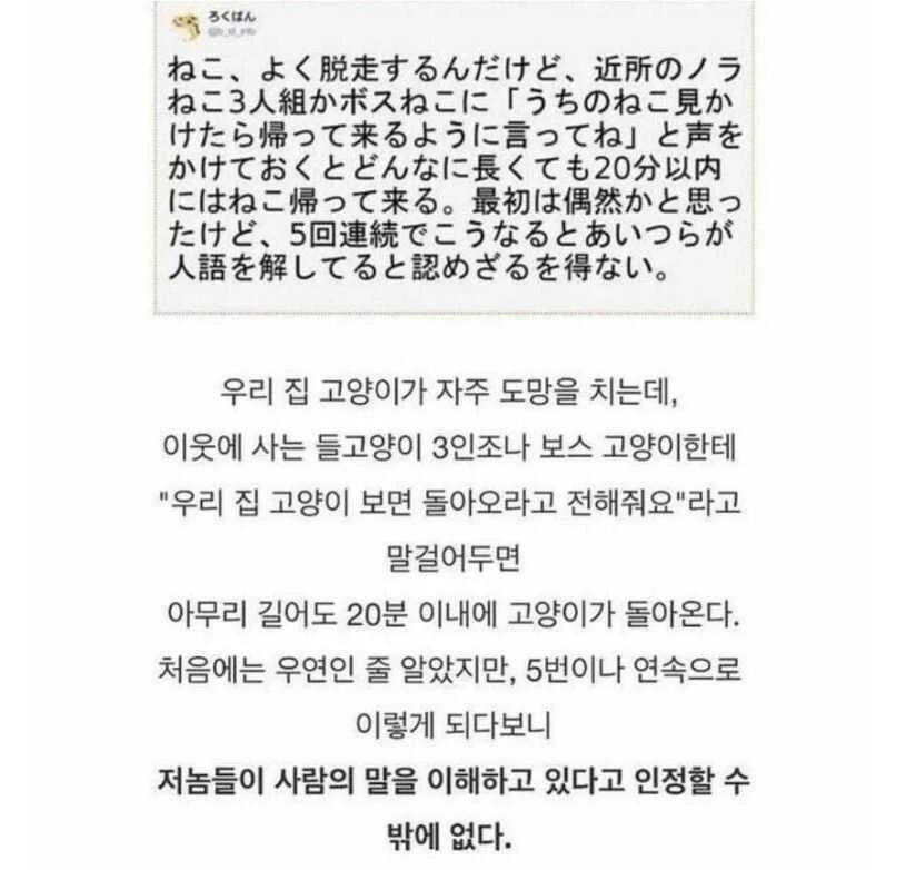 의외로 사람 말을 알아듣는 존재_1.webp