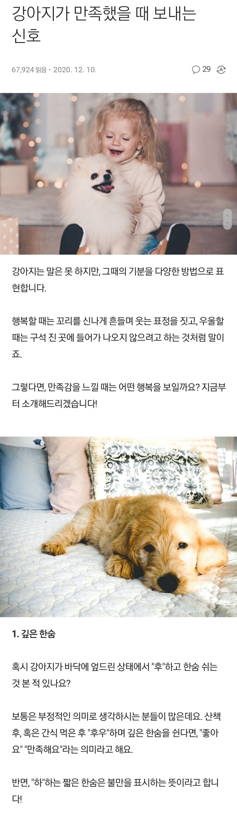 강아지가 만족했을 때 보내는 신호_1.jpg