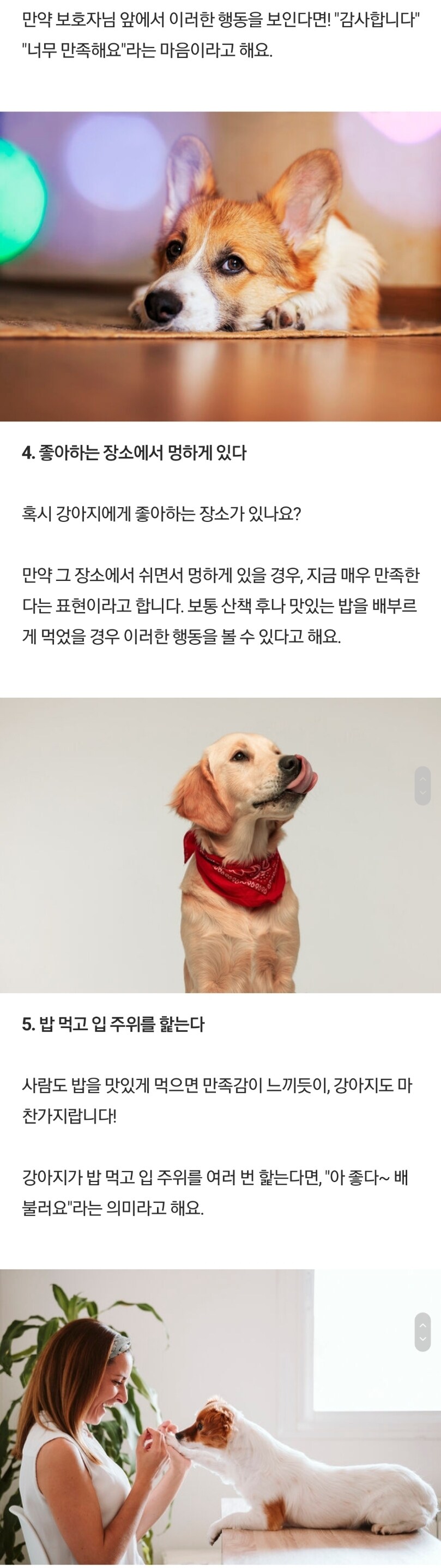 강아지가 만족했을 때 보내는 신호_3.jpg