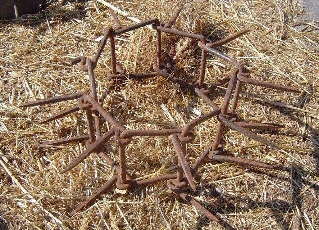 양치기견들이 가시목줄을 착용 하는 이유 jpg._3.jpg