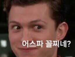 슈퍼맨(2025)보고 극대노하는 잭스나 팬덤 볼 때마다_1.jpg