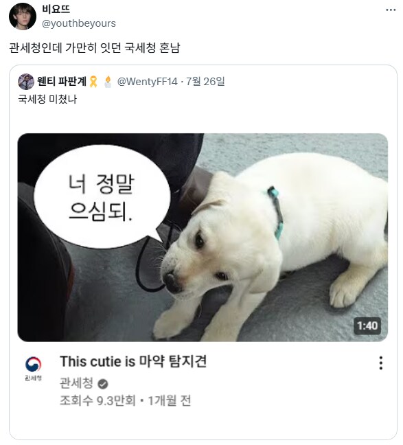 가만히 있다가 혼난 국세청.x_1.png