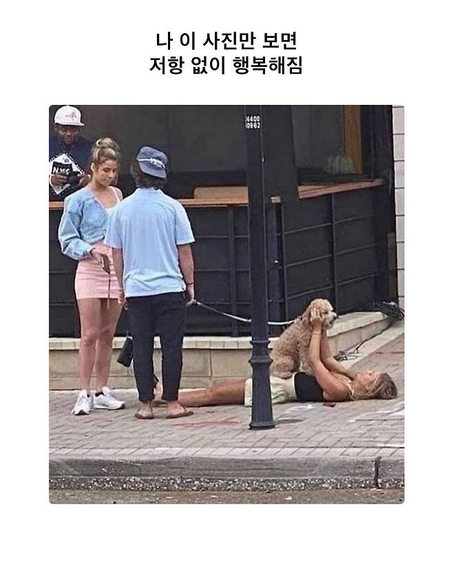 웃음이 나는 사진_1.jpg