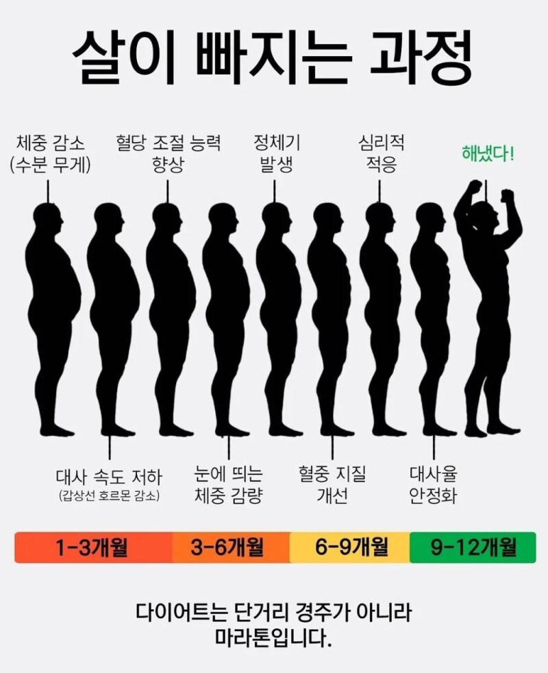 살이 빠지는 과정_1.jpg