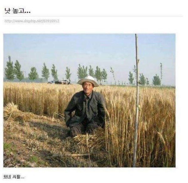 속담 맞추기 퀴즈.moluTalk_2.jpg