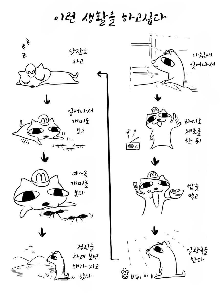 맛있는걸 먹고싶은 고양이_3.jpg