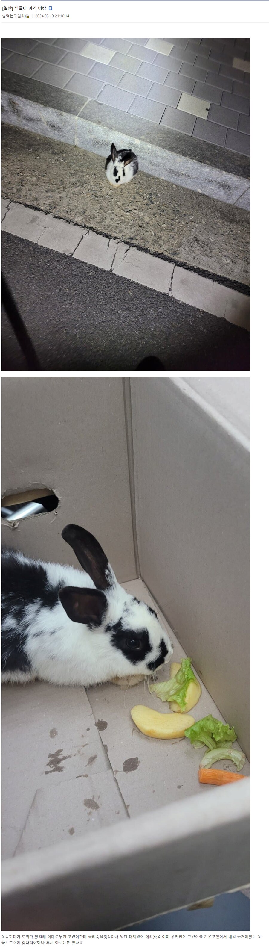 아 새끼 말하는 싸가지 봐라_1.png