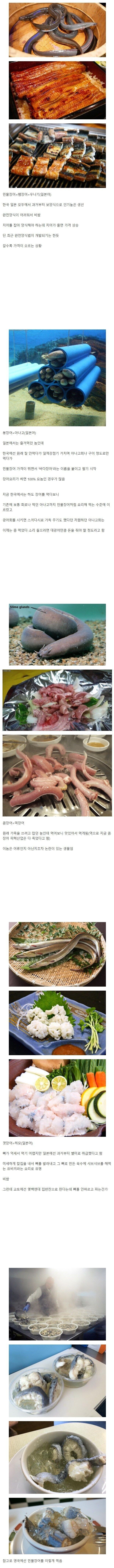 인류가 먹는 4종류의 장어_1.jpg