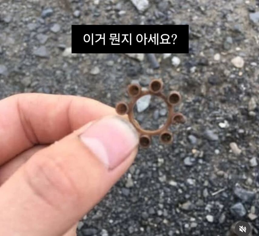글쎄요 전 모르겠네요_1.jpg