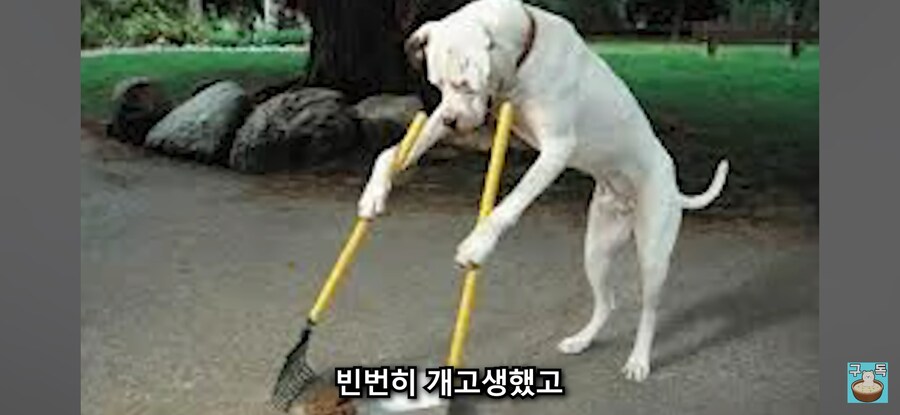 어떤 유튜브 제작자가 시리즈 중단한 이유_2.jpg