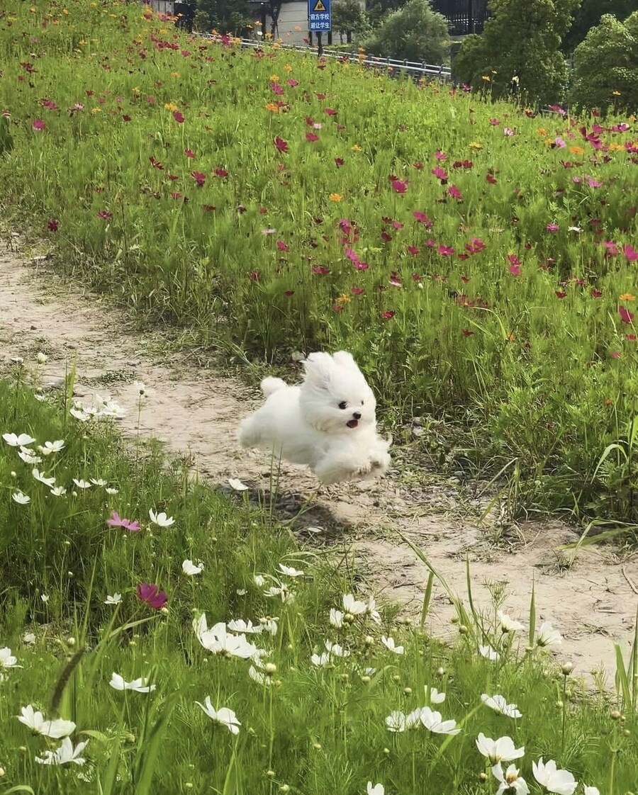 신나서 뛰어다니는 토끼.jpg_1.jpg