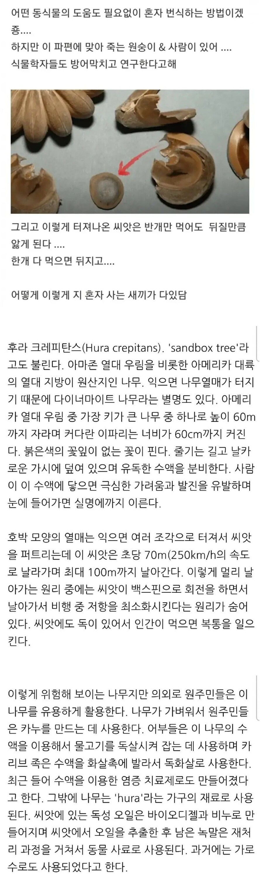 아낌 없이 죽이는 나무 jpg._2.jpg