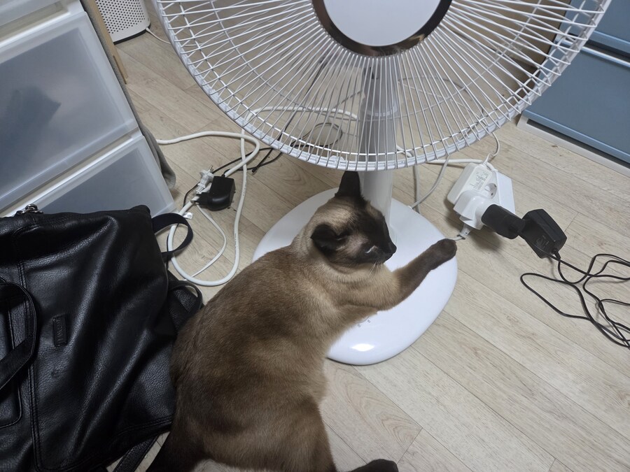 왜 산지 1년 밖에 안된 선풍기가 자꾸 꺼질까...._2.jpg