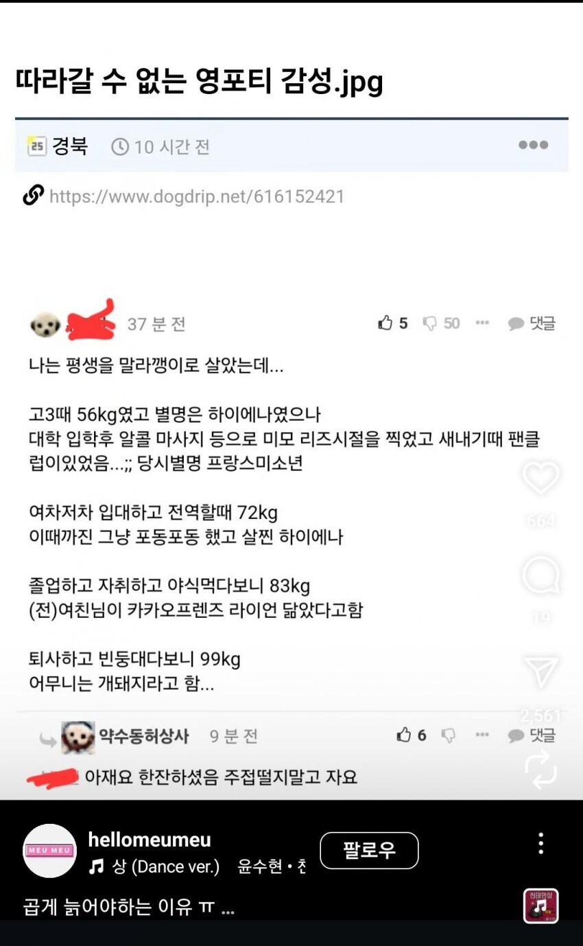 수출 된 펨붕이 레전드..jpg_1.jpg