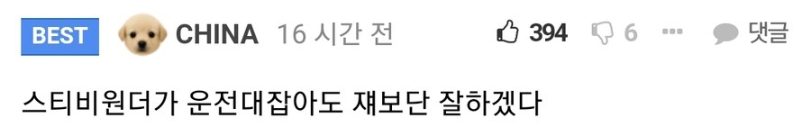스티비 원더가 운전해도 너보단 잘하겠다.jpg_3.jpg