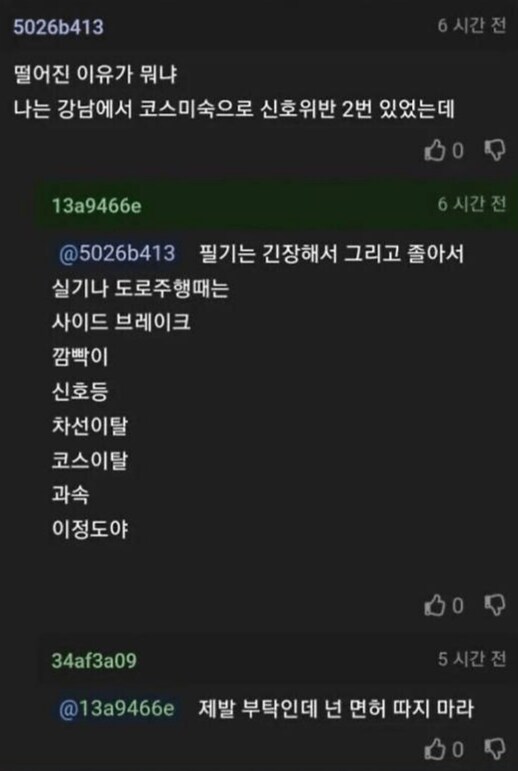 스티비 원더가 운전해도 너보단 잘하겠다.jpg_2.png