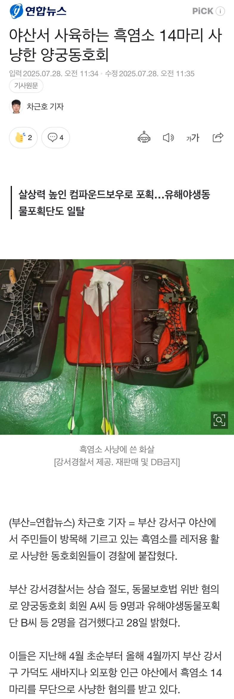 야산서 사육하는 흑염소 14마리 사냥한 양궁동호회_1.webp