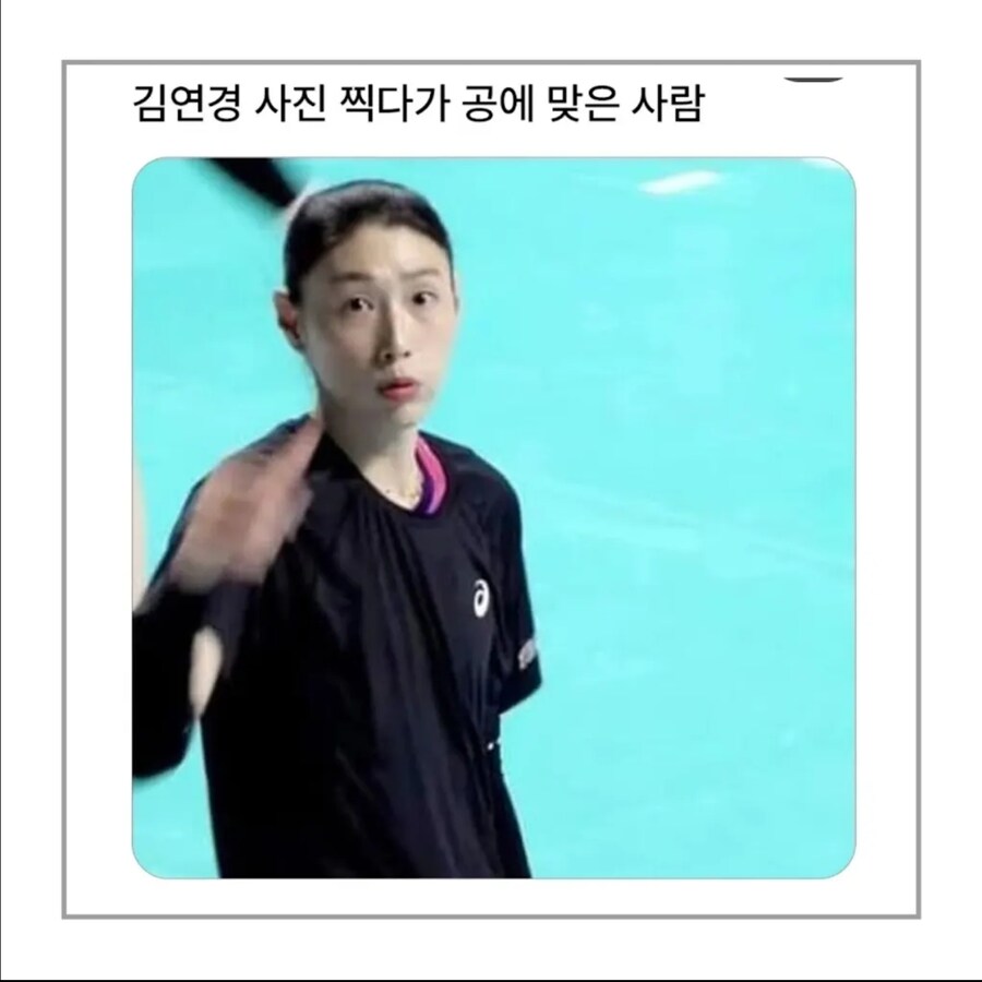 김연경 사진찍다가 공 맞은 사람.jpg_1.jpg