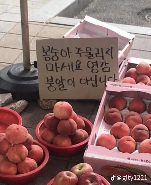 복숭아 주물리지 마세요. 영감 붕알이 아닙니다.jpg_1.png