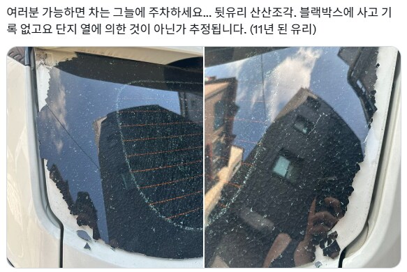 주차된 차의 유리가 박살남_1.png