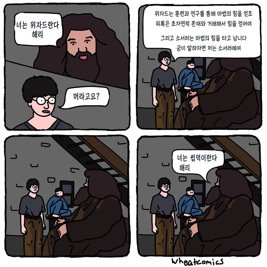 해리포터)