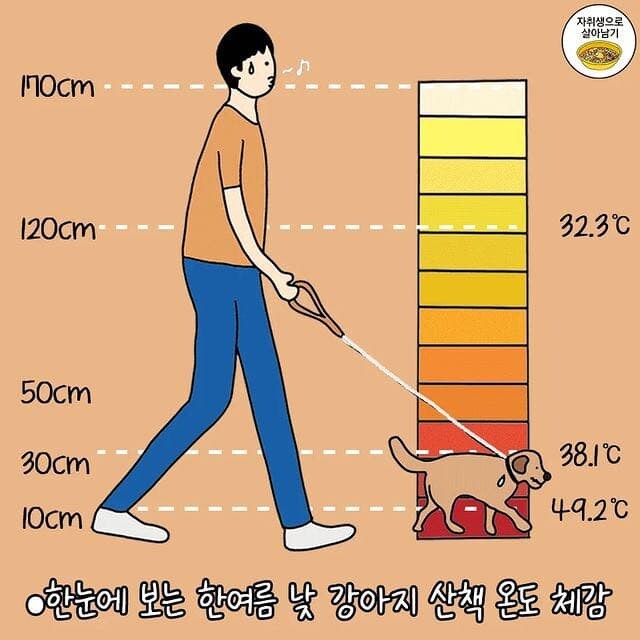 낮 산책 불가능_1.jpg