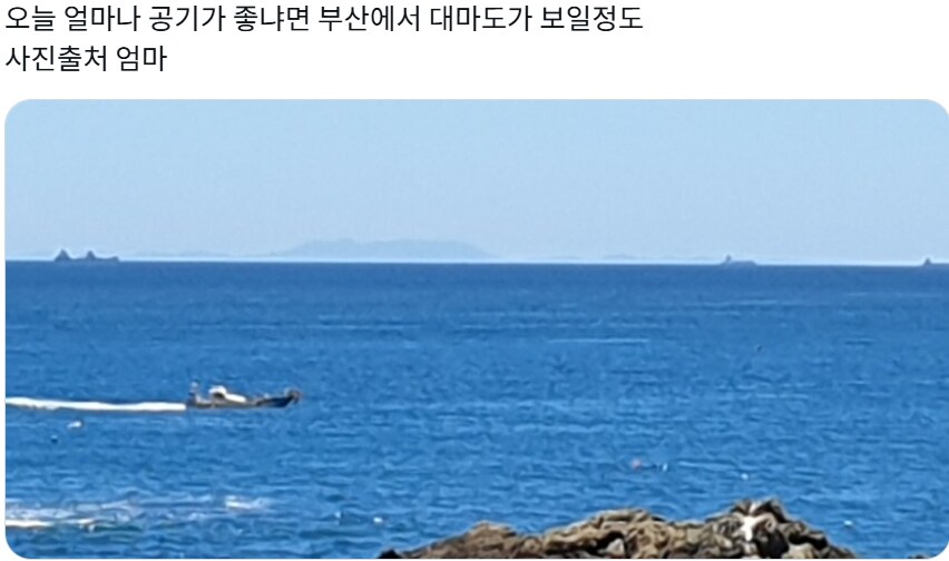 ??? : 요새 풍경이 ㄹㅇ 예쁨 살짝 고온 살균당하는 느낌_3.png