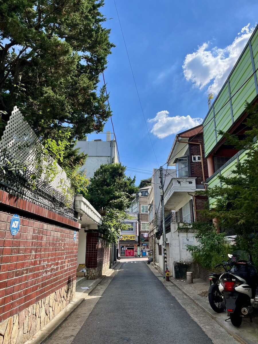 ??? : 요새 풍경이 ㄹㅇ 예쁨 살짝 고온 살균당하는 느낌_8.jpg