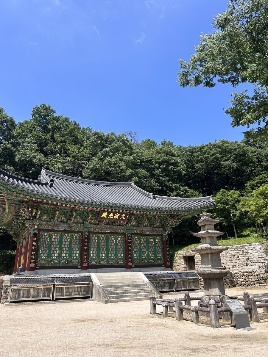 ??? : 요새 풍경이 ㄹㅇ 예쁨 살짝 고온 살균당하는 느낌_14.jpg