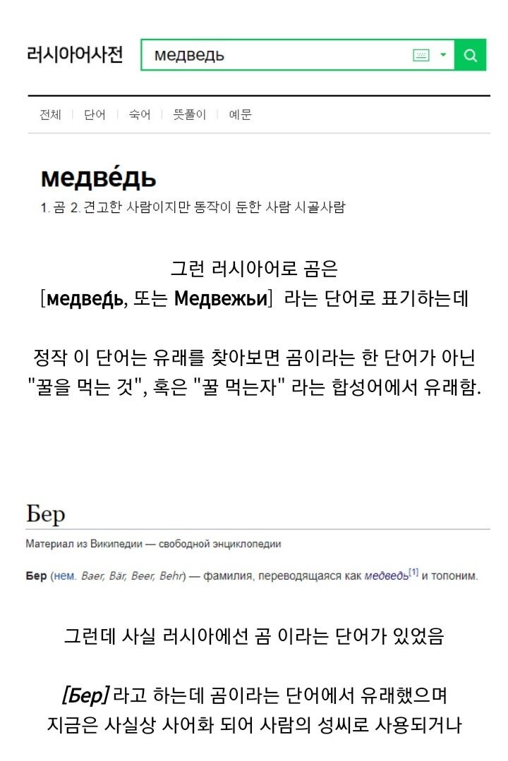 원래 곰을 표현한 단어가 사어가 된 이유_1.jpg