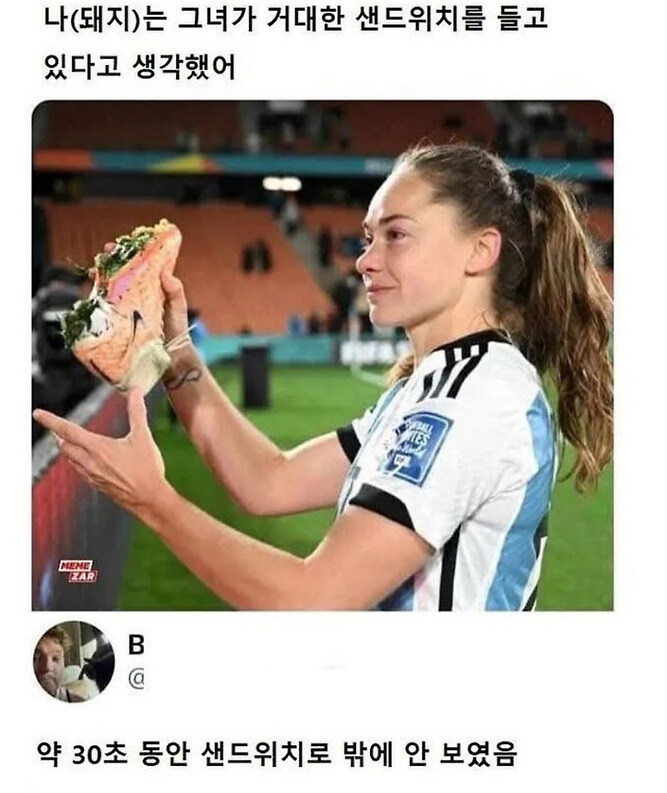 누가 봐도 처음엔 샌드위치로 보이는 사진_1.jpg