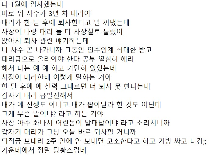 갓 입사했는데 사수가 바로 퇴사함.jpg_1.png