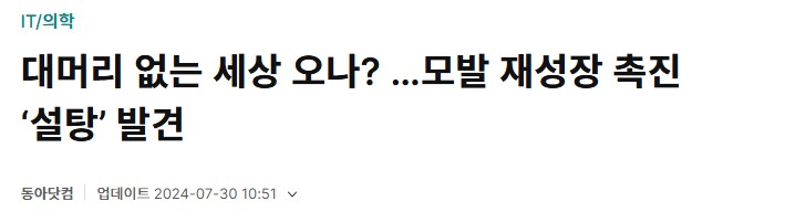 약사 양반, 채워_1.png