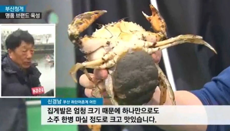 부산 아재가 맛의 기준을 잴 때 쓰는 단위_1.webp