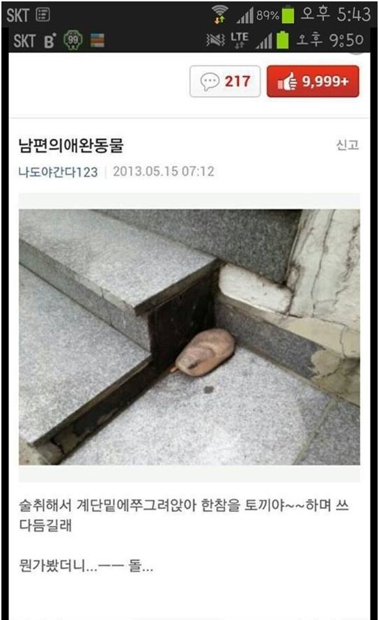 남편의 애완동물_1.png