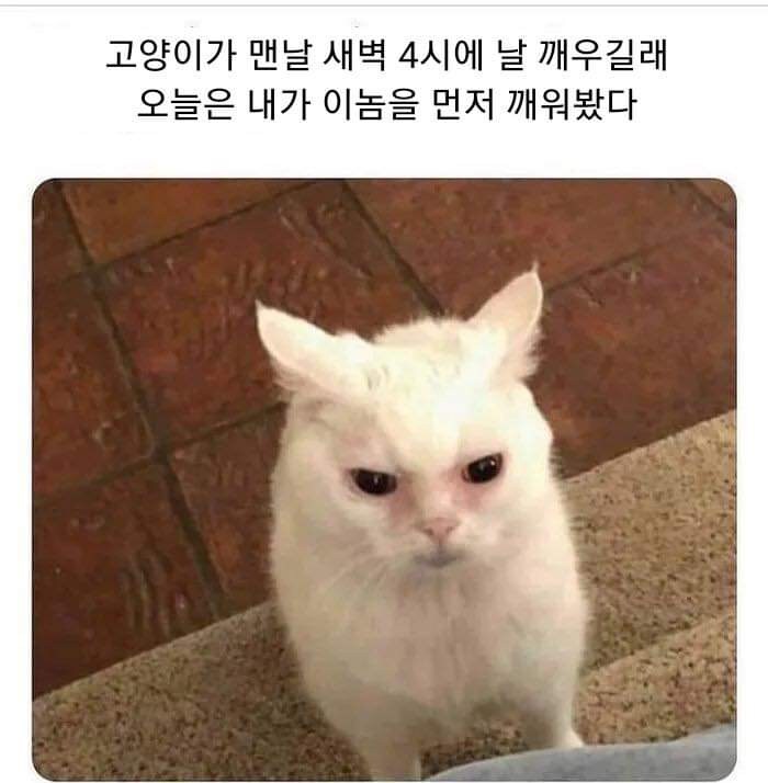 역지사지.jpg_1.jpg