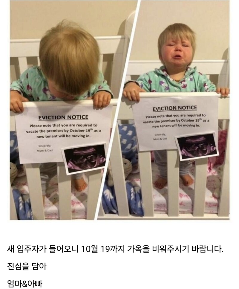 퇴거 통지 받은 세입자 jpg._1.png