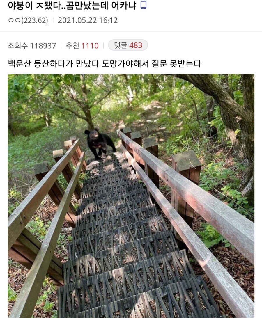 진짜 ㅈ된 와중에도 할건 하는 디씨인 ㅋㅋㅋㅋ_1.jpg