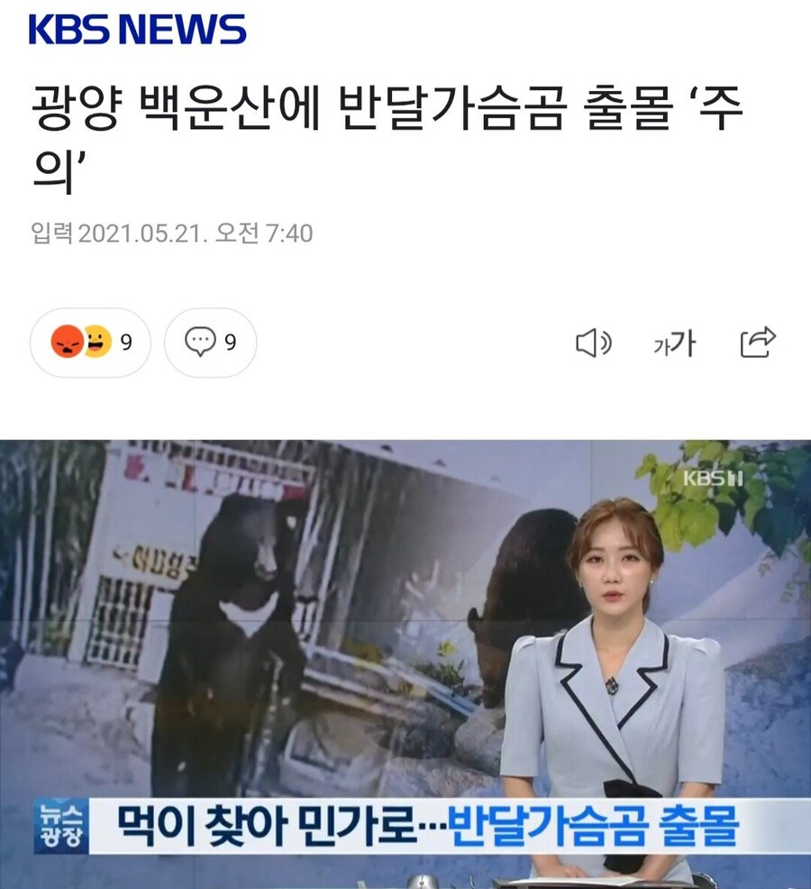 진짜 ㅈ된 와중에도 할건 하는 디씨인 ㅋㅋㅋㅋ_3.jpg
