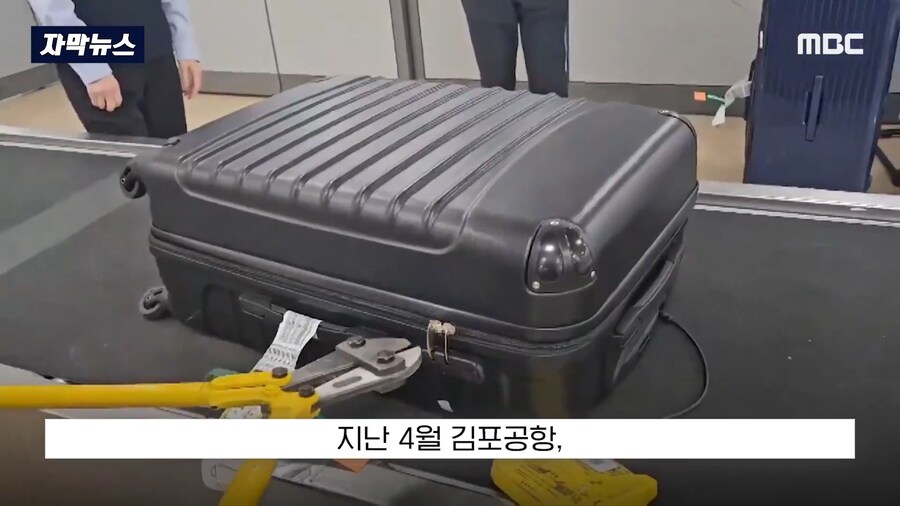 2025년 4월 대박난 김포공항_1.png